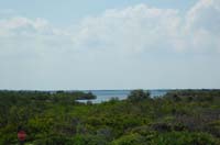 Merrittseashore back