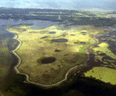 Merrit Island Marsh