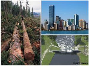 Logging, population density, and flood-control projects