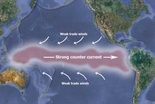 El Nino Southern Oscillation 