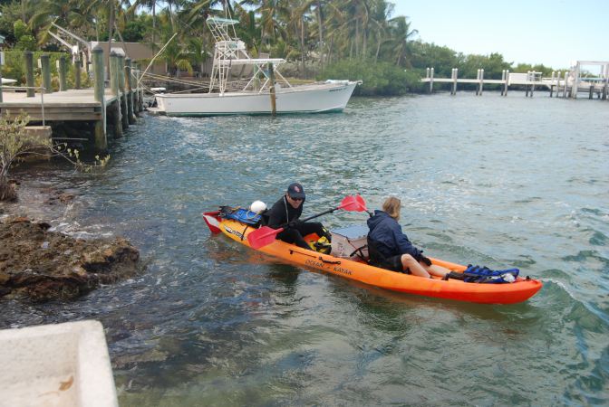 Coral Reef Algae Research