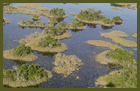National Climate Assessment