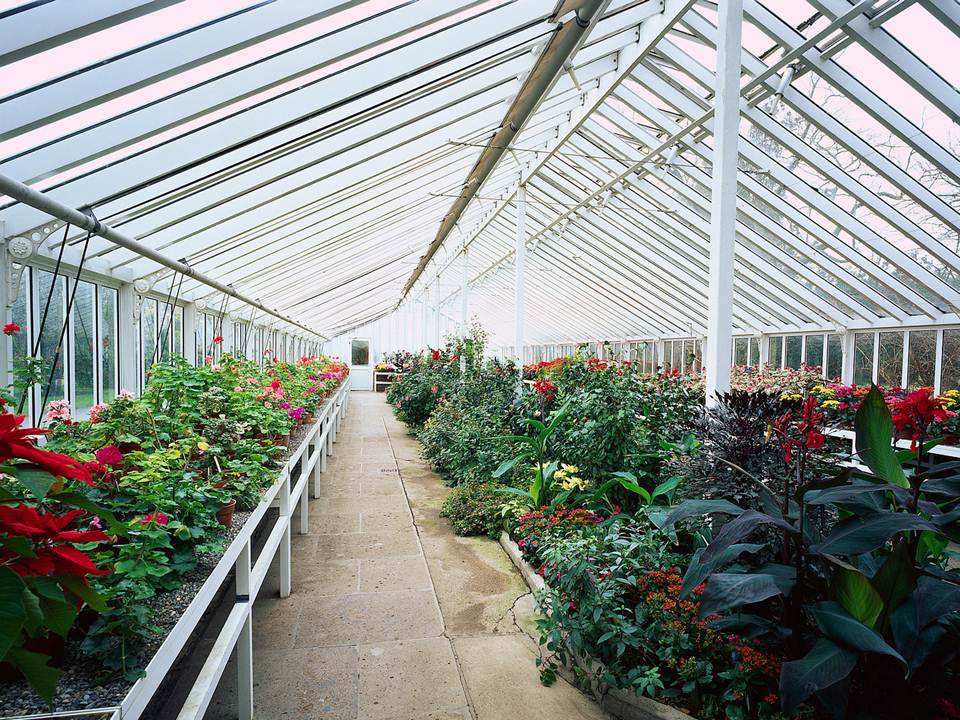 Greenhouse.jpg