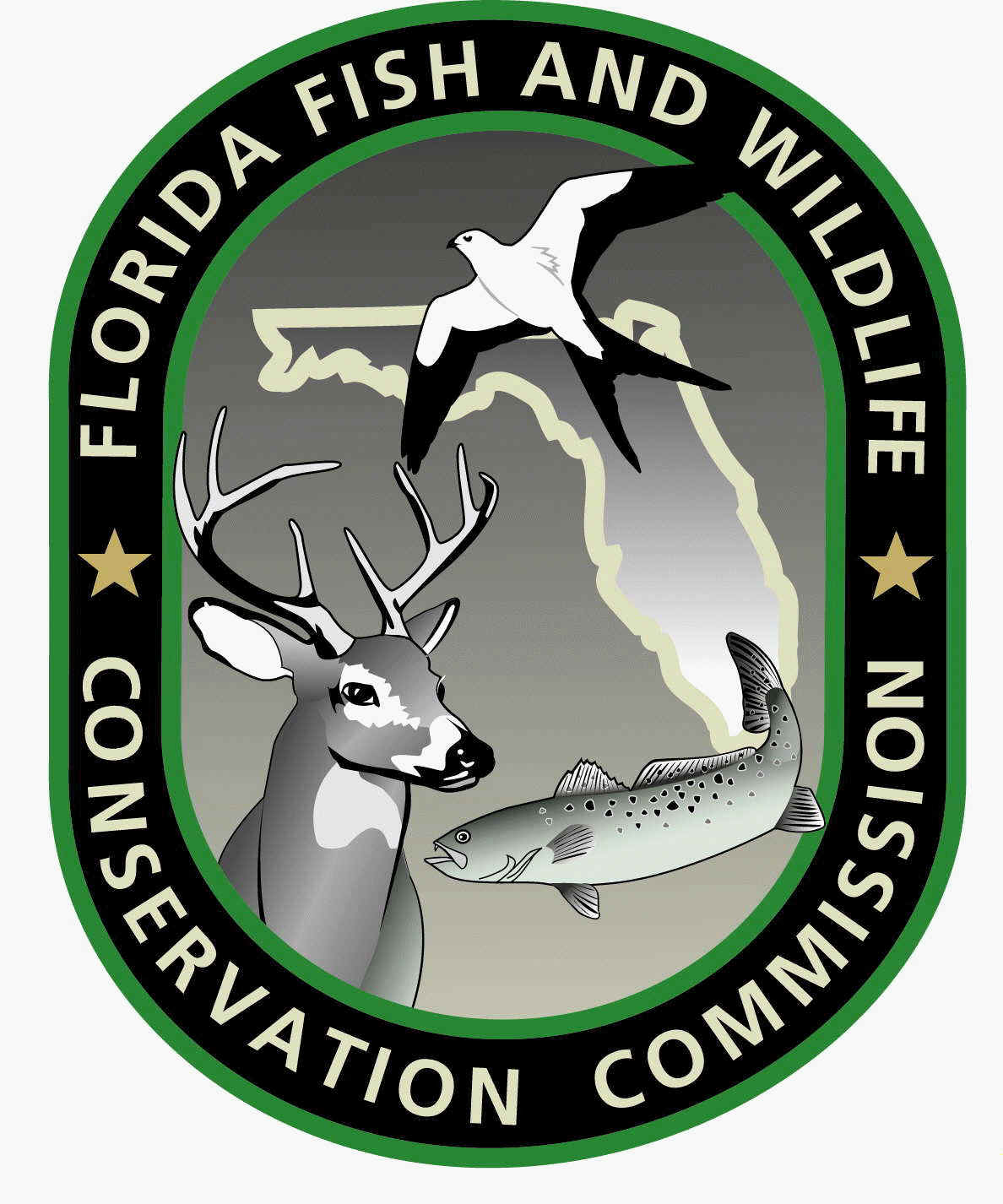 Florida Fish & Wildlife 