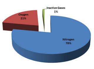 Composition of the Atmosphere 