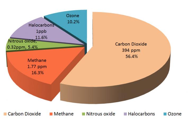 Greenhouse Gas Concentrations 