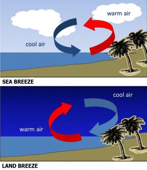 Sea Breeze VS Land Breeze