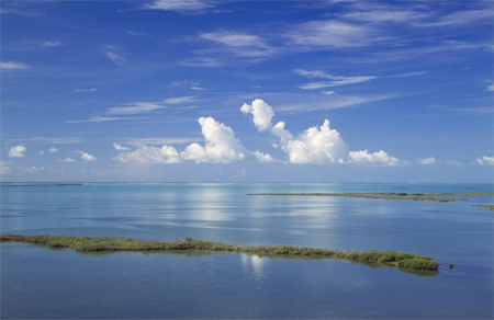 Florida Bay