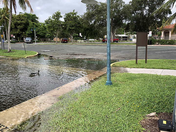 King Tide