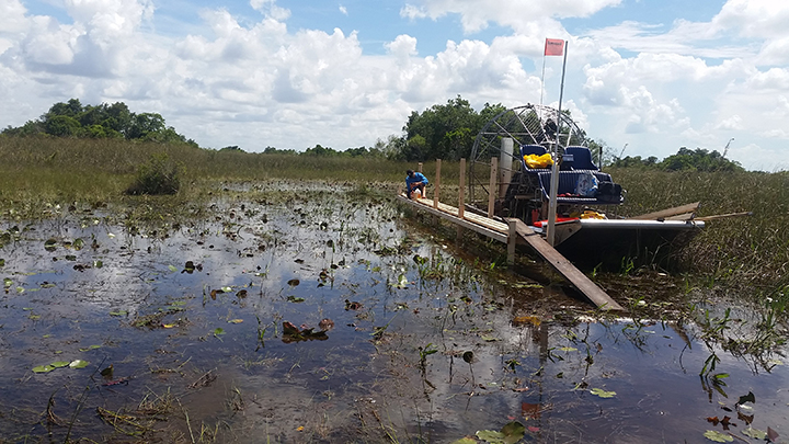 Airboat on the Everglades