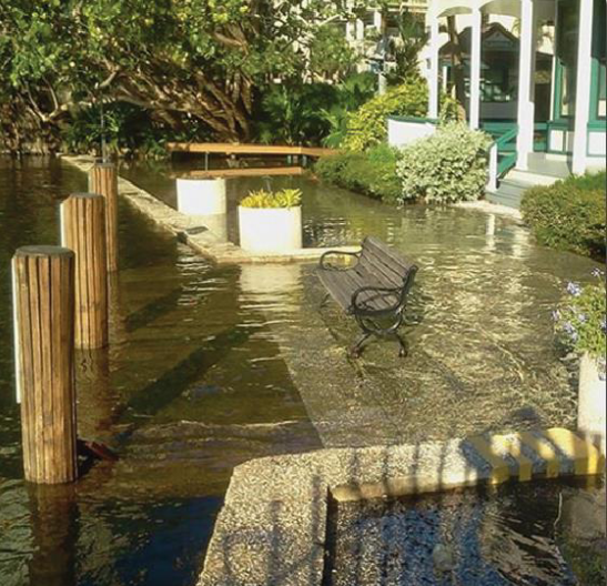 Flooding in South Florida