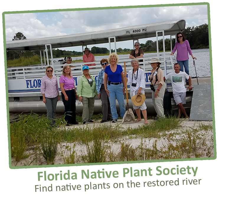 Photo of Florida Native Plant Society, finding native plants on the restored river