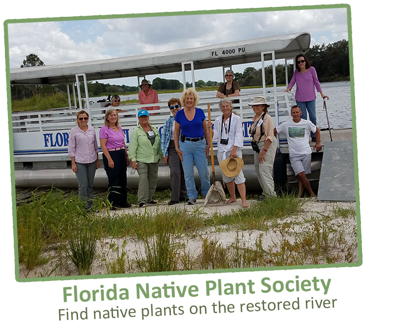 Photo of Florida Native Plant Society, finding native plants on the restored river