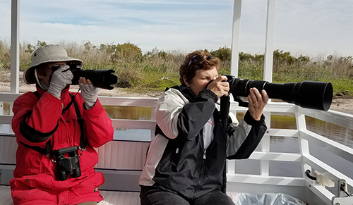 Eco-tour guests take pics of snail kites