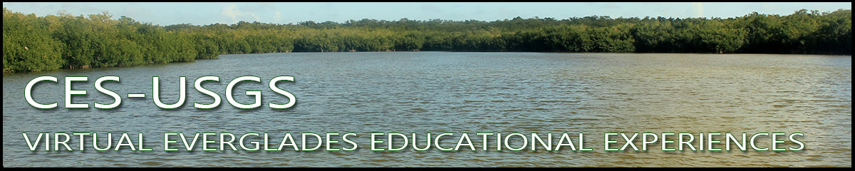CES-USGS Virtual Everglades Educational Experiences